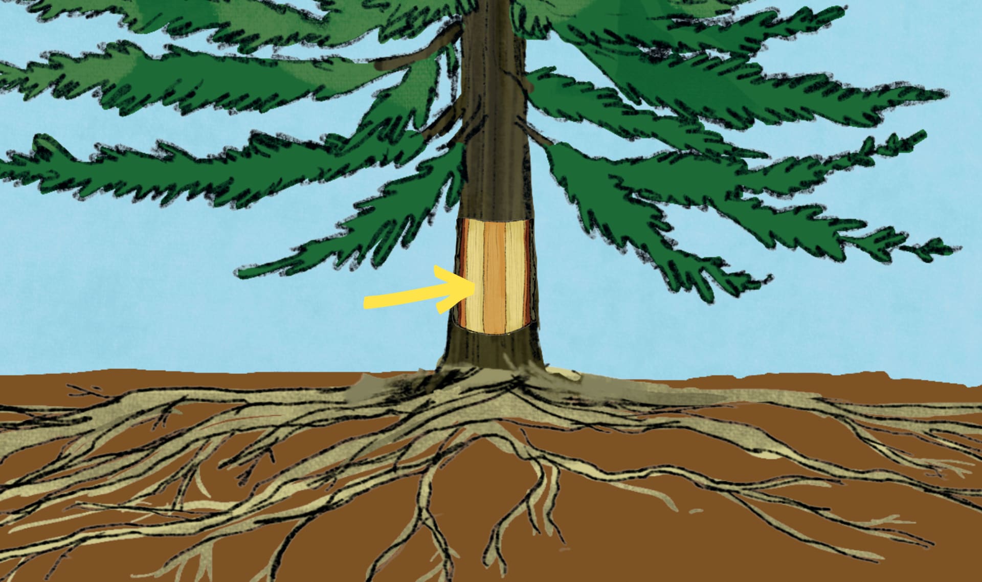 Slide Image